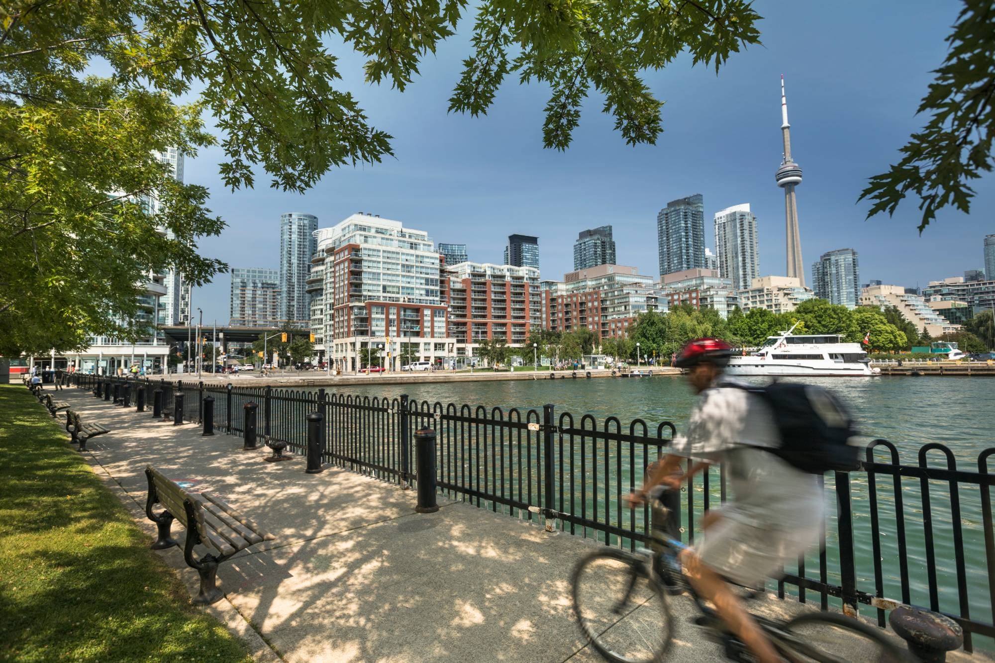 A cyclist on a tree-lined waterfront path below mid-rise and high-rise homes